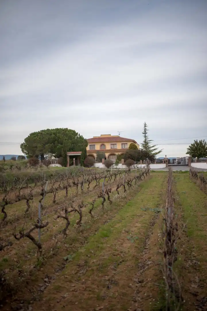 Vista exterior de Finca rústica en venta en Santa Fe del Penedès
