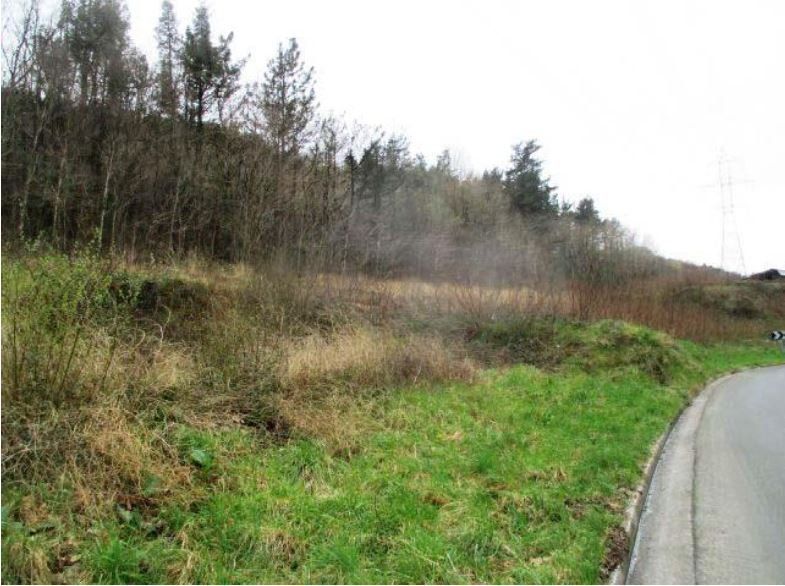 Land for sale in Olaberria, Poligono 10, Lapice - Larreaundi - Olaberria - Meaka