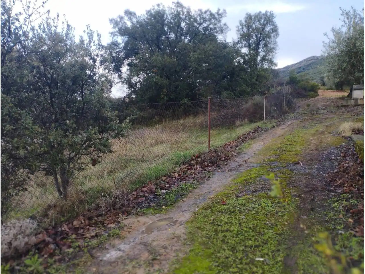 Terrenos y solares en venta en Badajoz, imagen 21