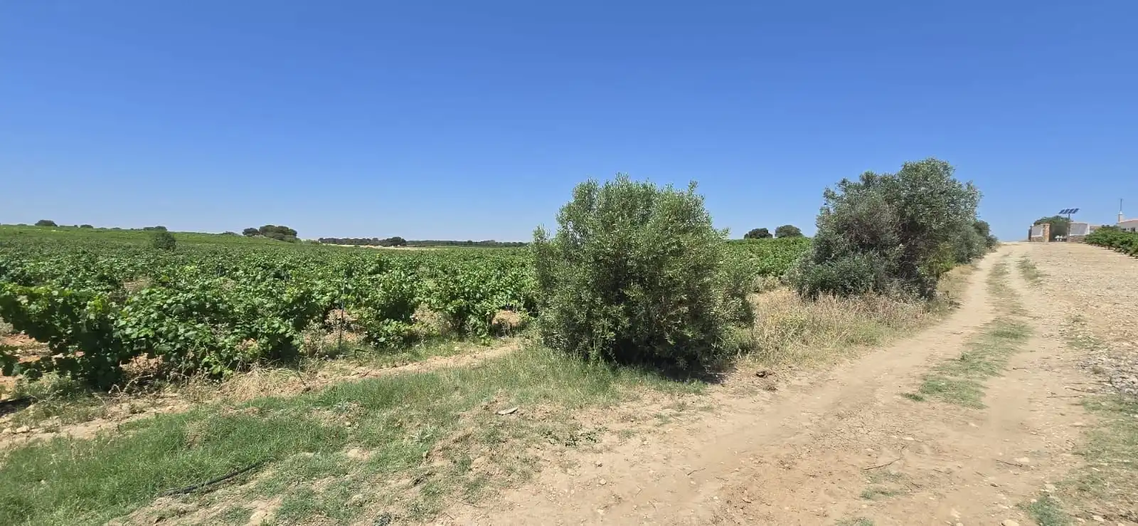 Casa rústica en venda a Villarrobledo, imagen 44