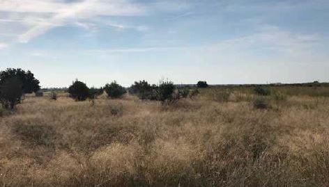 Foto 4 de Terreny en venda a Fosaret( Polígono 11), S/n, Moncófar Pueblo, Moncofa