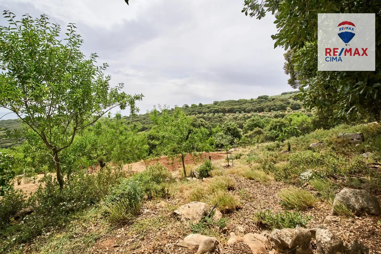 House with terrace for sale in POLIGONO 72 PARCELA 122 72, imagen 56