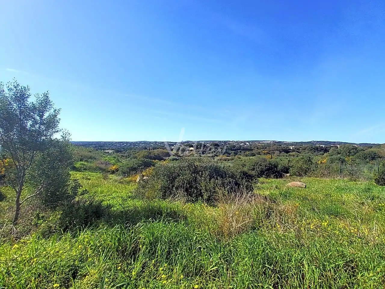 Terrenys i solars en venda a Lavanda En La Reserva De Sotogrande, imagen 2