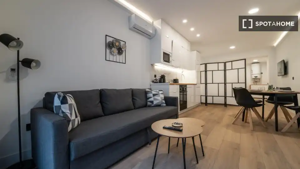 Sala de estar de Piso de alquiler en Madrid con Aire acondicionado, Calefacción y Amueblado