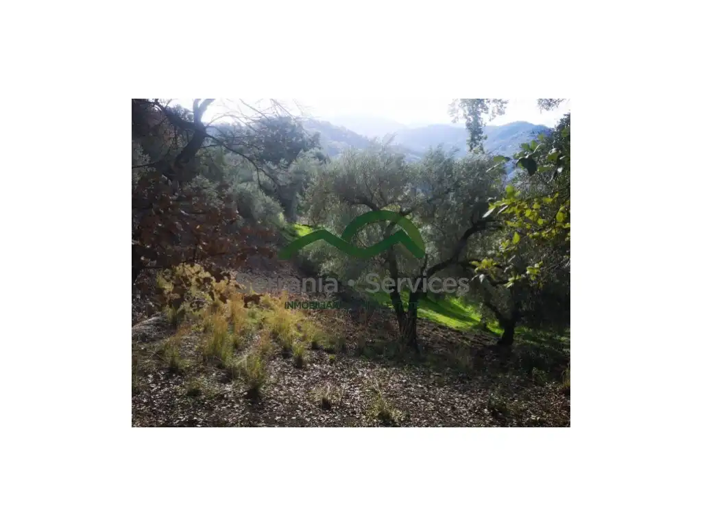 Finca rústica en venda en Genalguacil