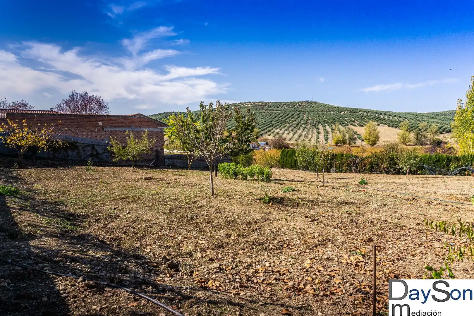 Villa con piscina in vendita a Alcalá la Real, imagen 14