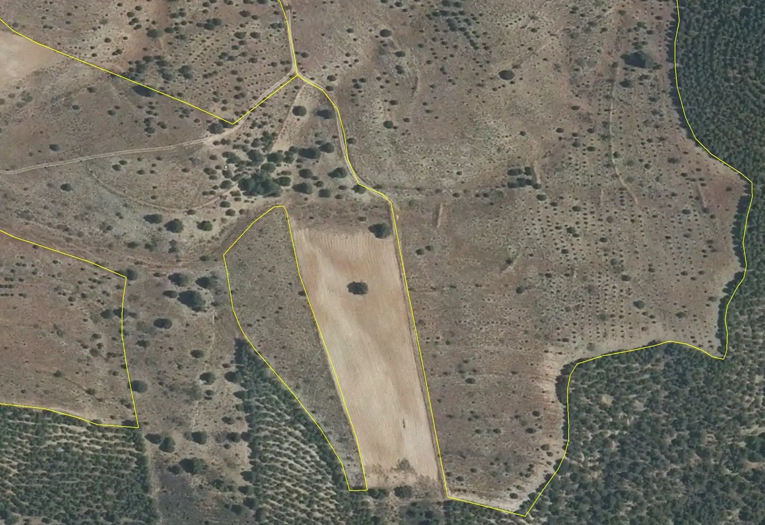 Rustikales Grundstück zum Verkauf in Lúcar, imagen 6