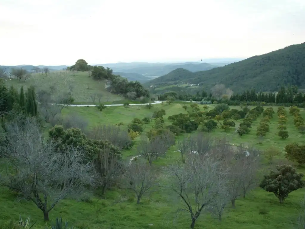 Casa rústica en venda a Gaucín, imagen 100
