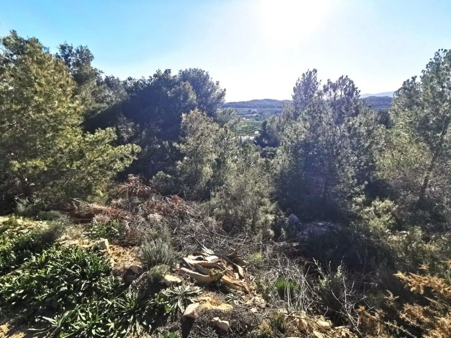 Residencial en venda en Pedralba