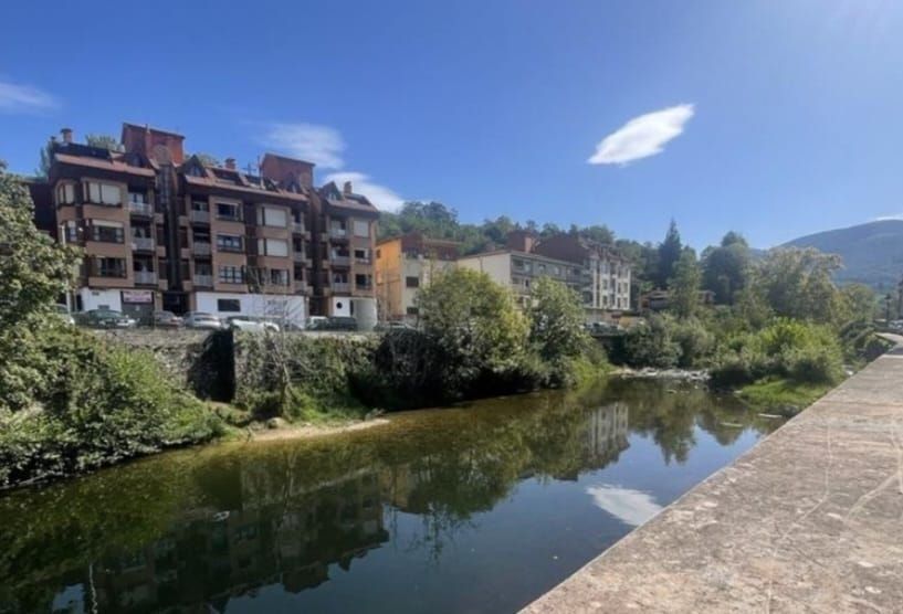 Exterior view of Apartment for sale in Piloña