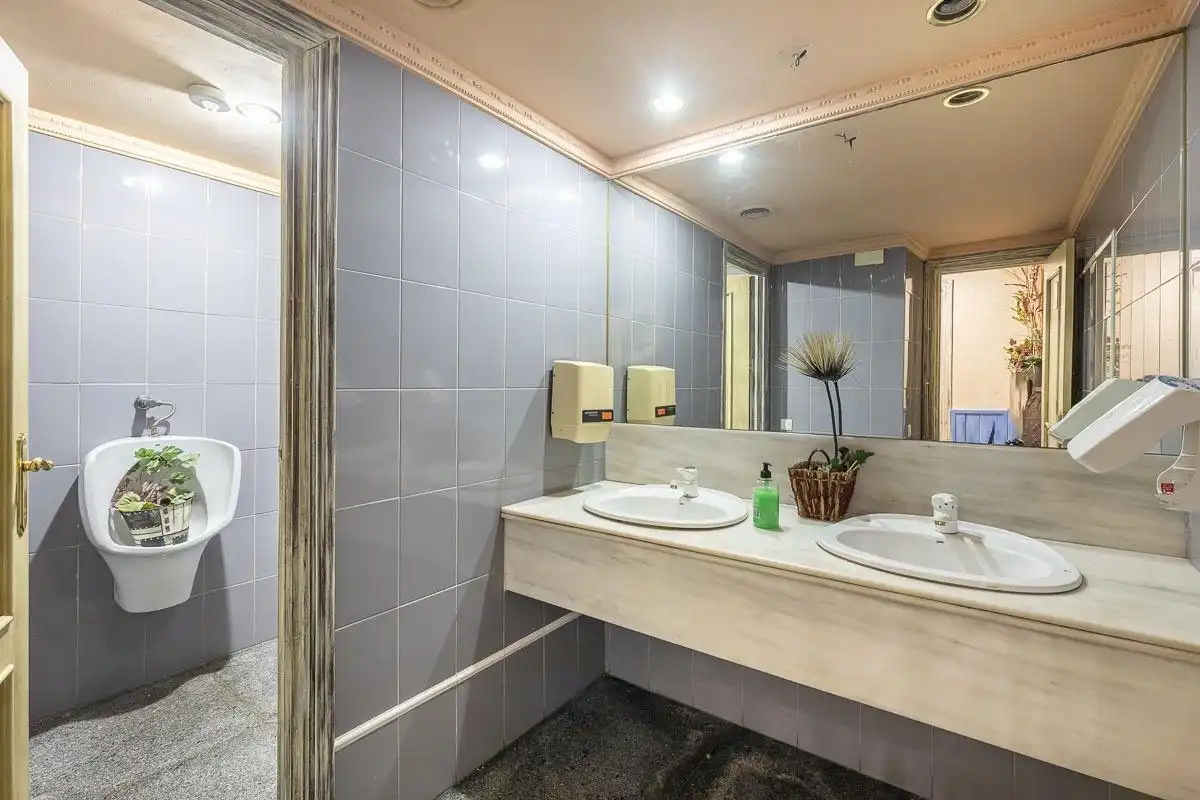 Inmuebles singulares con ascensor en venta en Cenes de la Vega, imagen 26