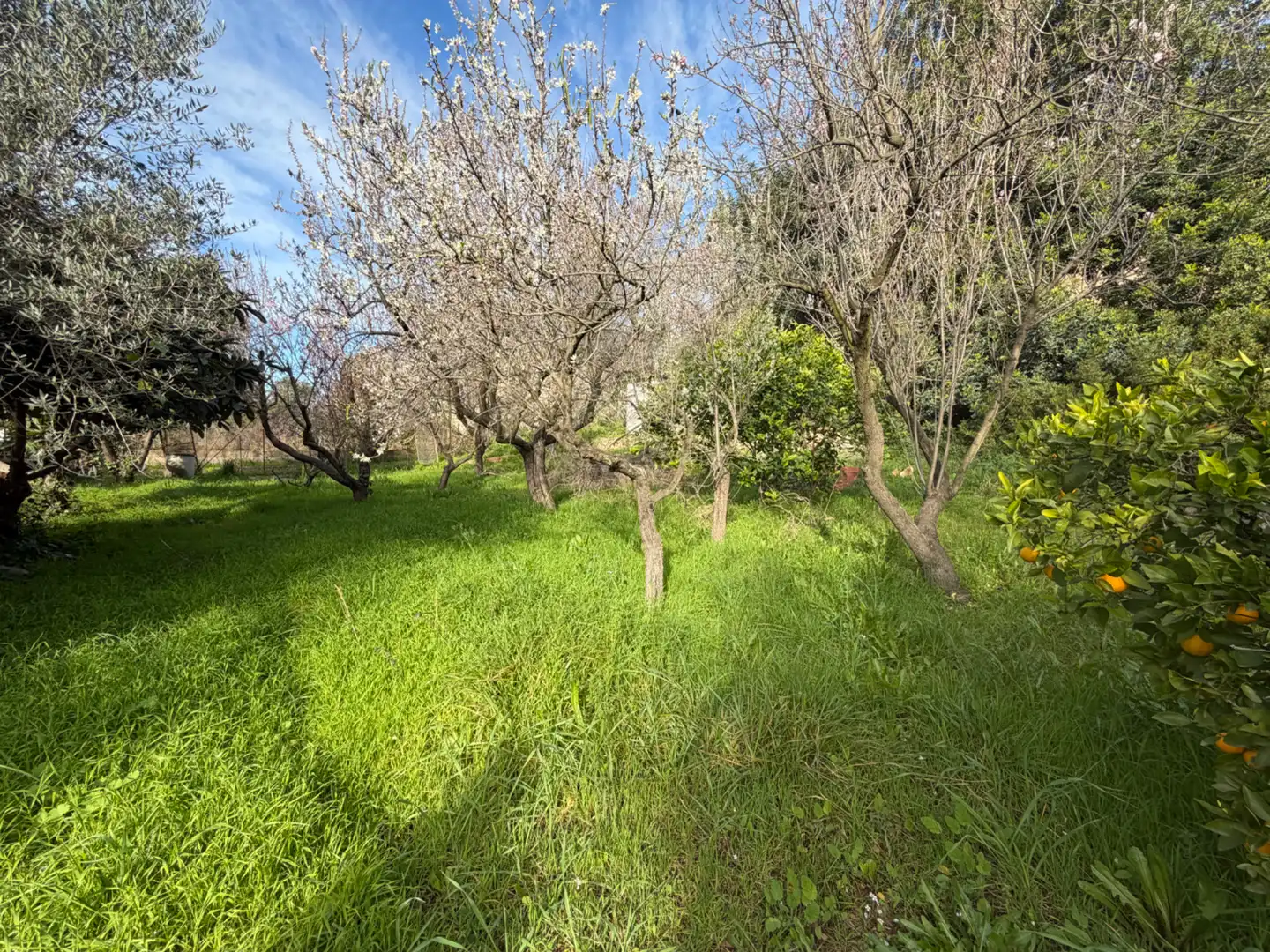 Casa o chalet en venta en Onda