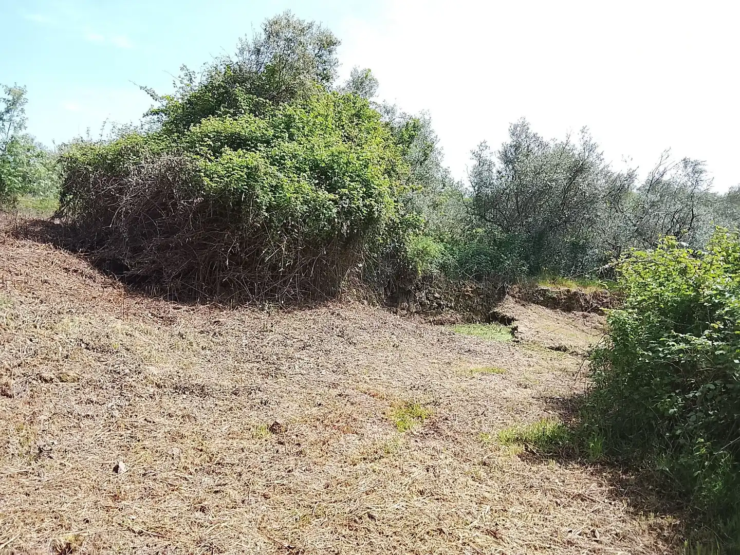Terreni e lotti in vendita a Viandar de la Vera, imagen 13