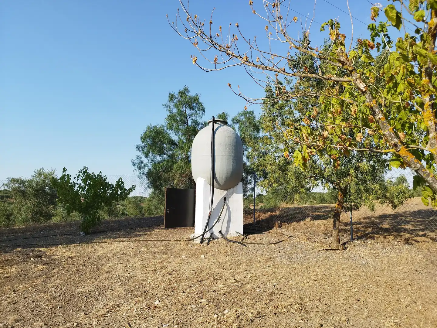 Jardí de Finca rústica en venda en Berlanga amb Aire condicionat, Jardí privat i Piscina