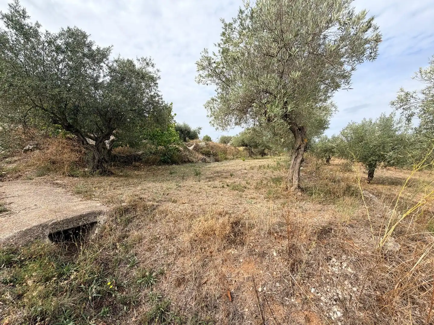Residencial en venta en Fageca, Alicante
