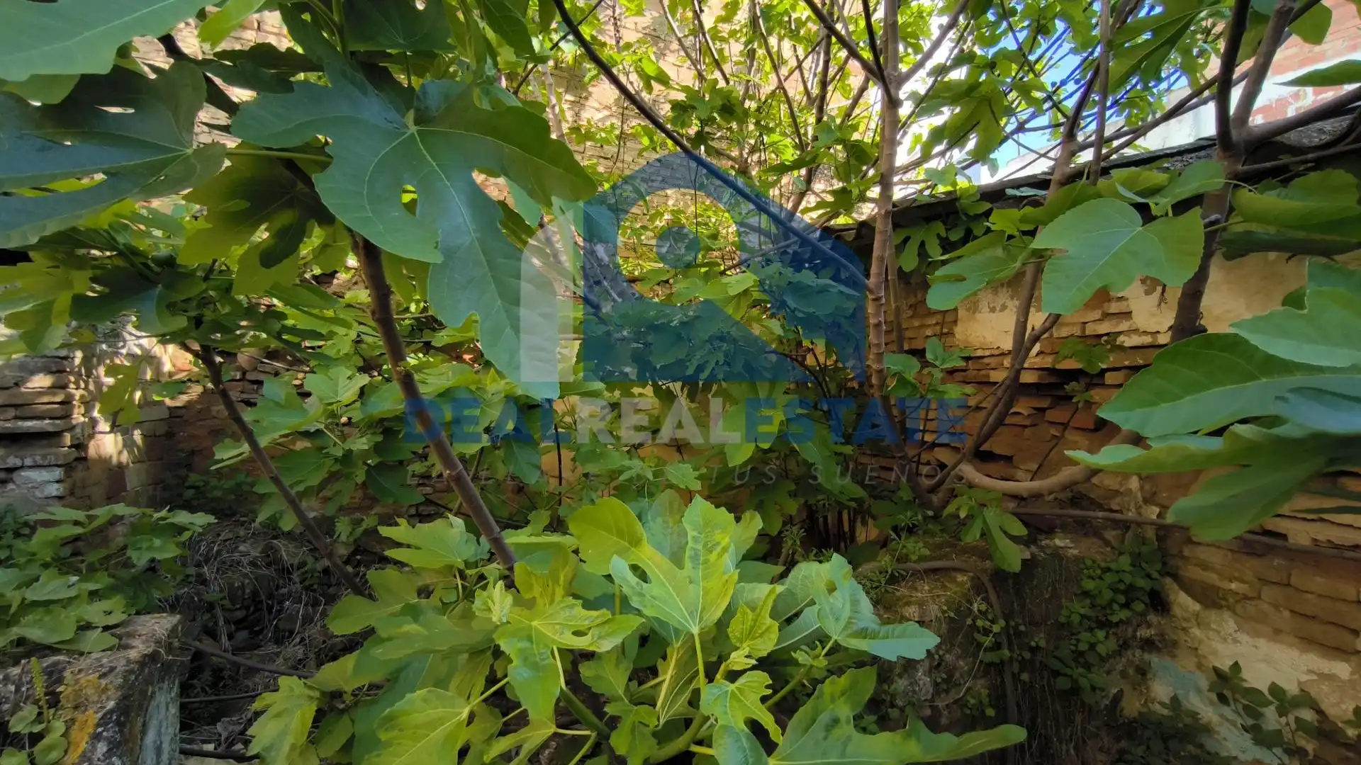 Casa o xalet en venda en La Algaba amb Jardí privat