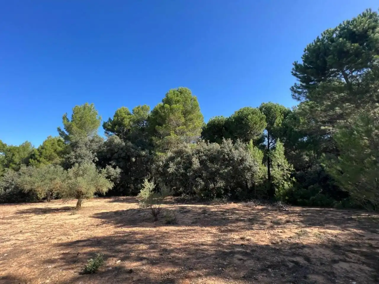 Chalet en venta en Banyeres de Mariola, imagen 28