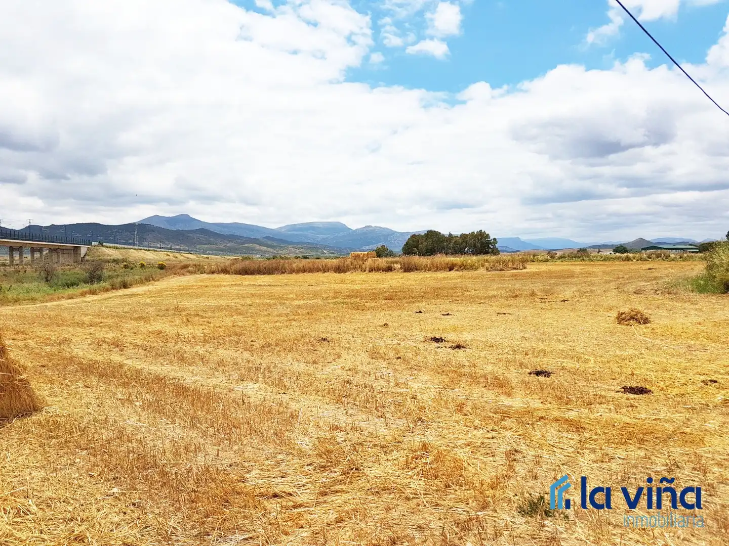 Terrenys i solars en venda a Zona de la Vega, imagen 5