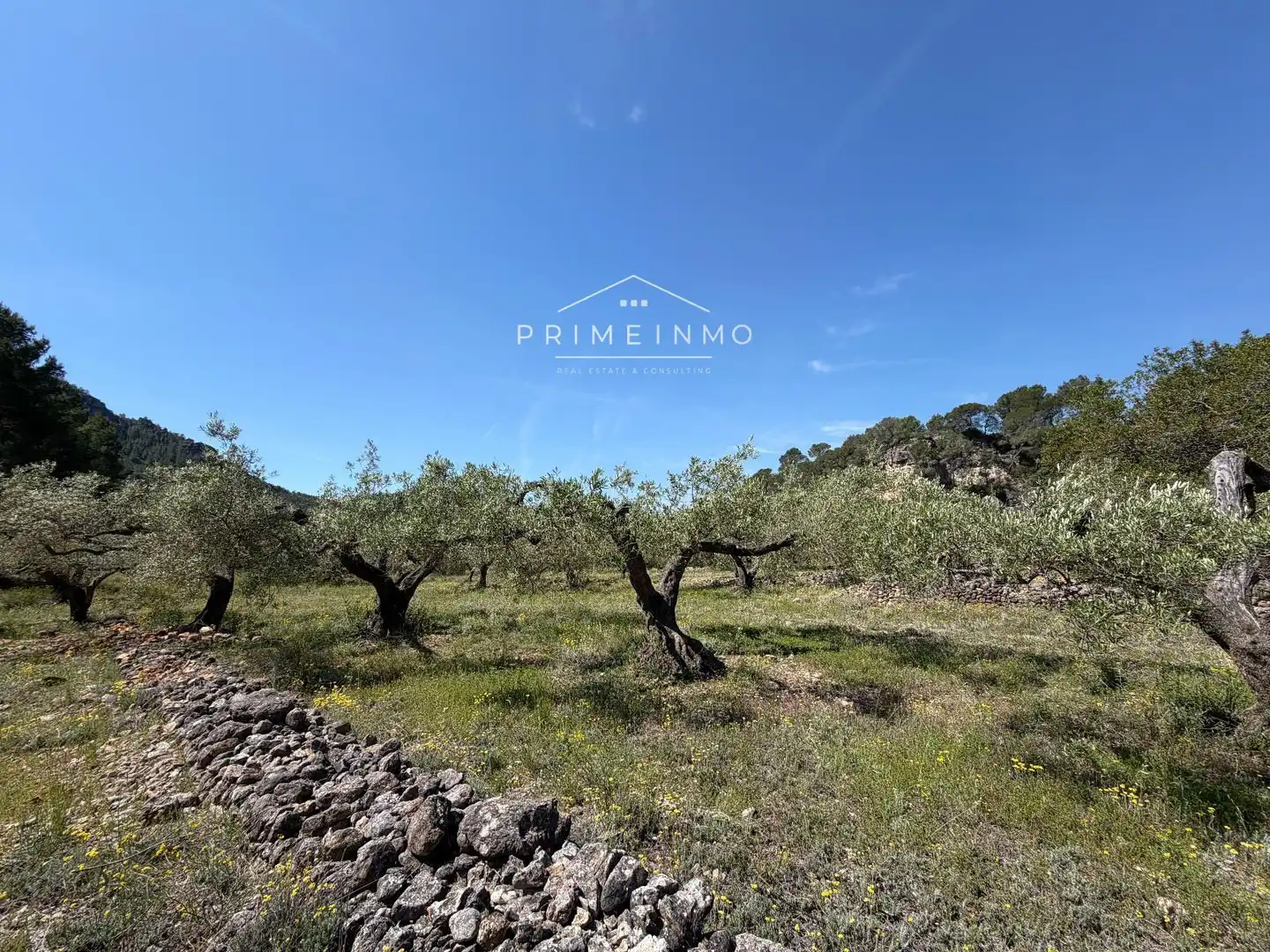 Terreno rústico en venta en L'Ametlla de Mar pueblo, imagen 23
