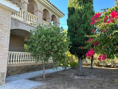 Garden of House or chalet for sale in  Córdoba Capital  with Terrace and Swimming Pool