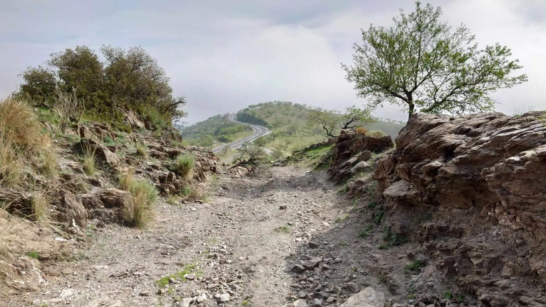 Casa rústica amb terrassa en venda a Camino de la Ermita, imagen 41