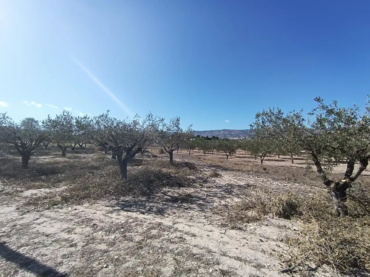 Terreny rústic en venda a Castalla, imagen 7