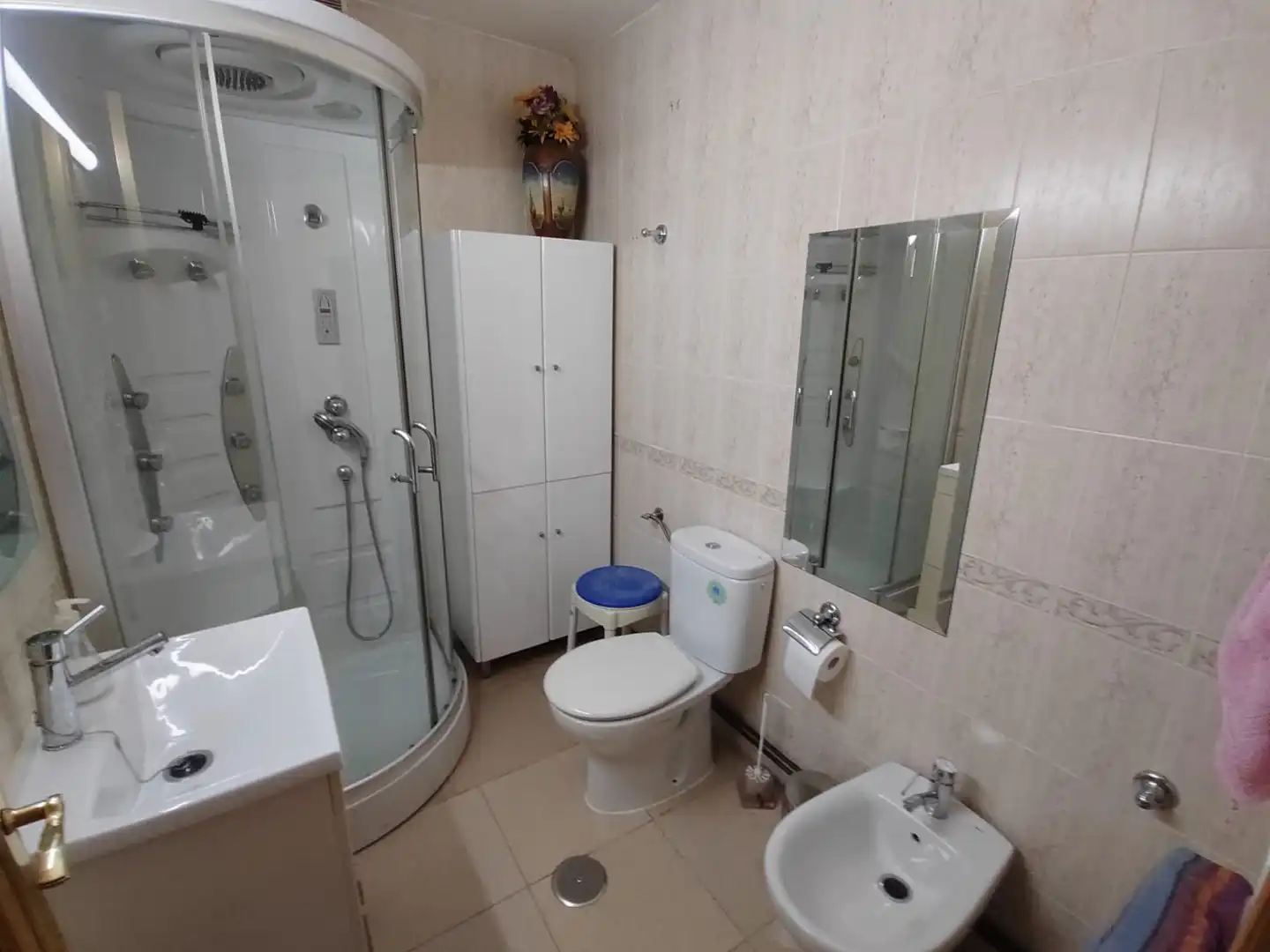 Maison à vendre à Calle del Faisan, imagen 7