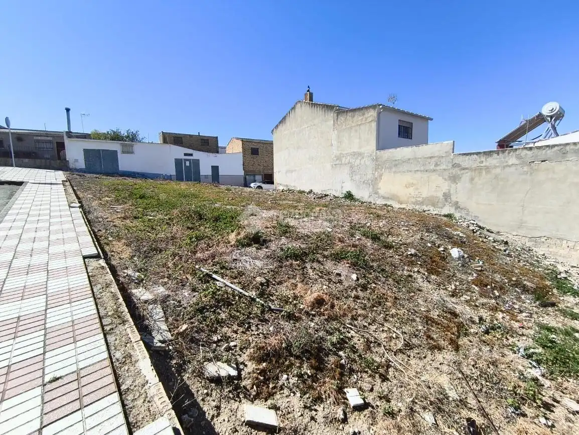 Terreny rústic en venda a Almargen, imagen 4