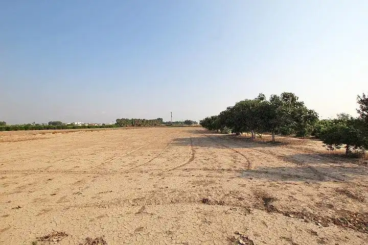 Finca rústica en venta en Daya Nueva con Jardín privado, Terraza y Trastero