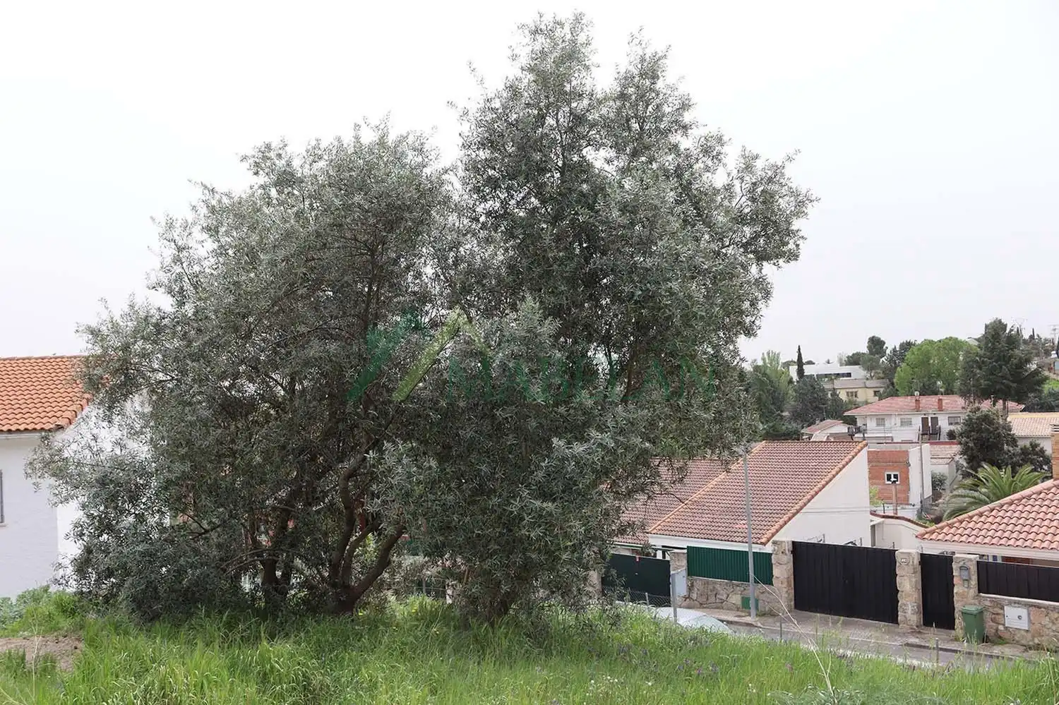 Terreno residencial en venta en Las Matas  - Peñascales, imagen 10