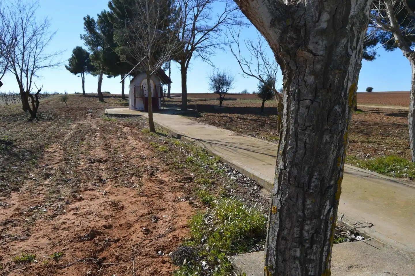 Terrenys i solars en venda a Tarancón, imagen 3