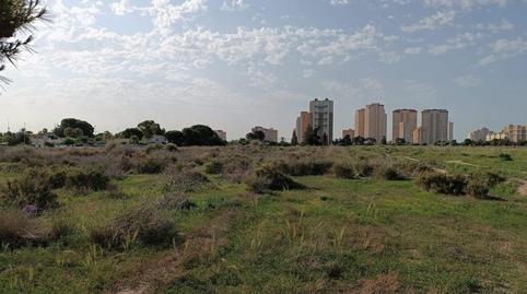 Photo 3 of Land for sale in 3 Parcela, 74, -1, La Font - Mezquitas, Alicante
