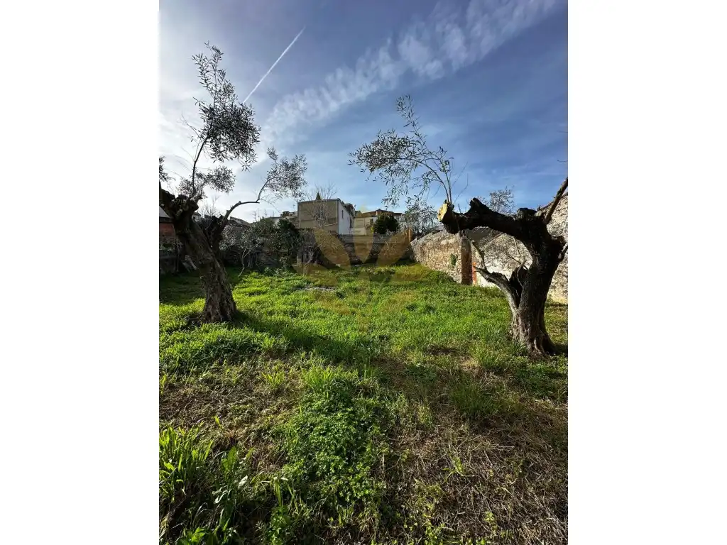 Terreni e lotti in vendita a Casco Antiguo, imagen 6
