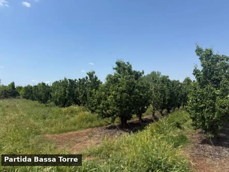 Terreno en venta en Puigverd de Lleida, Lleida