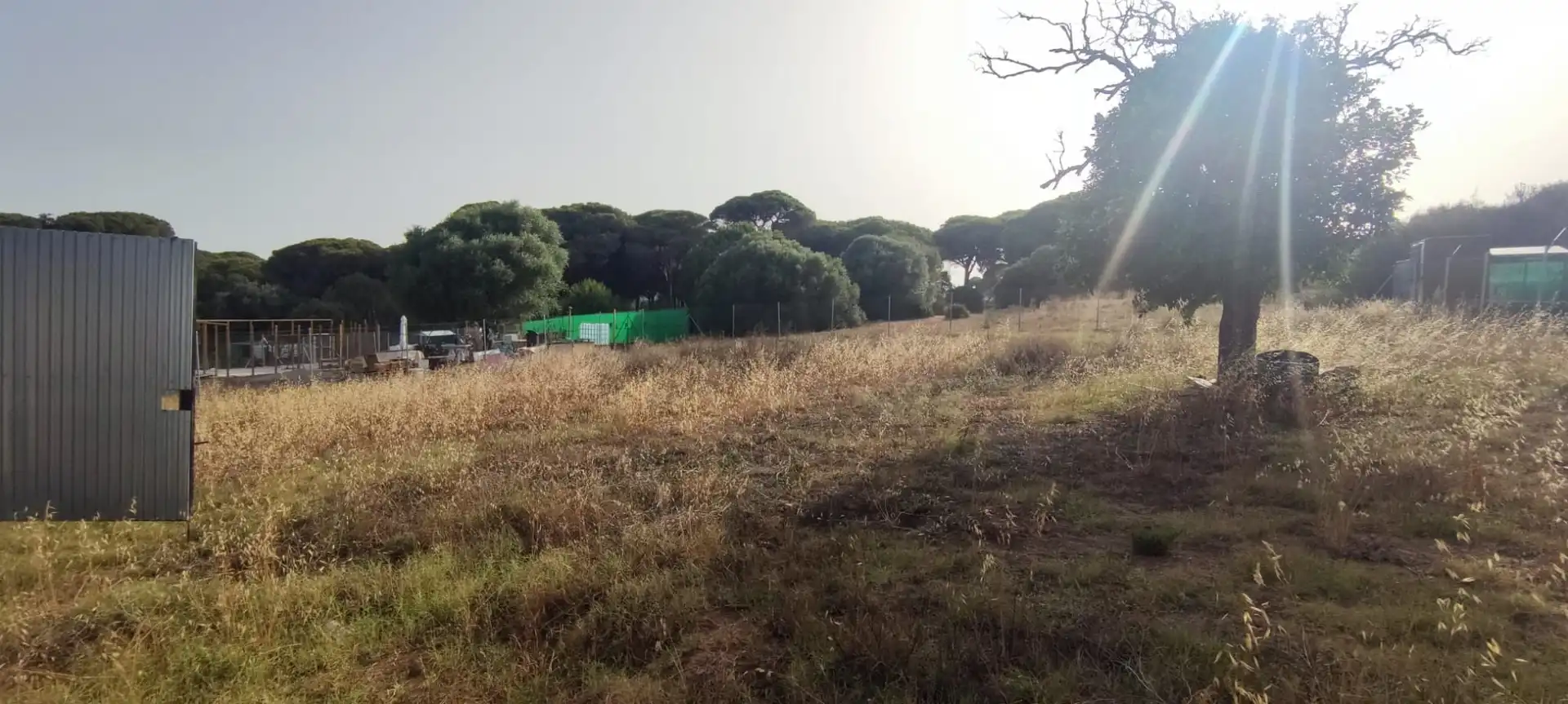 Terreno rustico in vendita a San Roque Pueblo, imagen 5