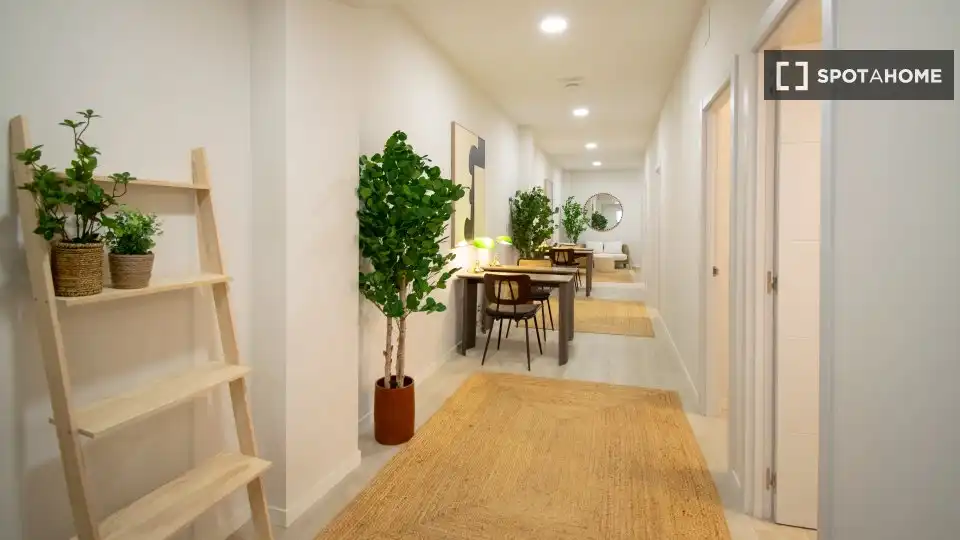 Habitació a Ciudad Universitaria