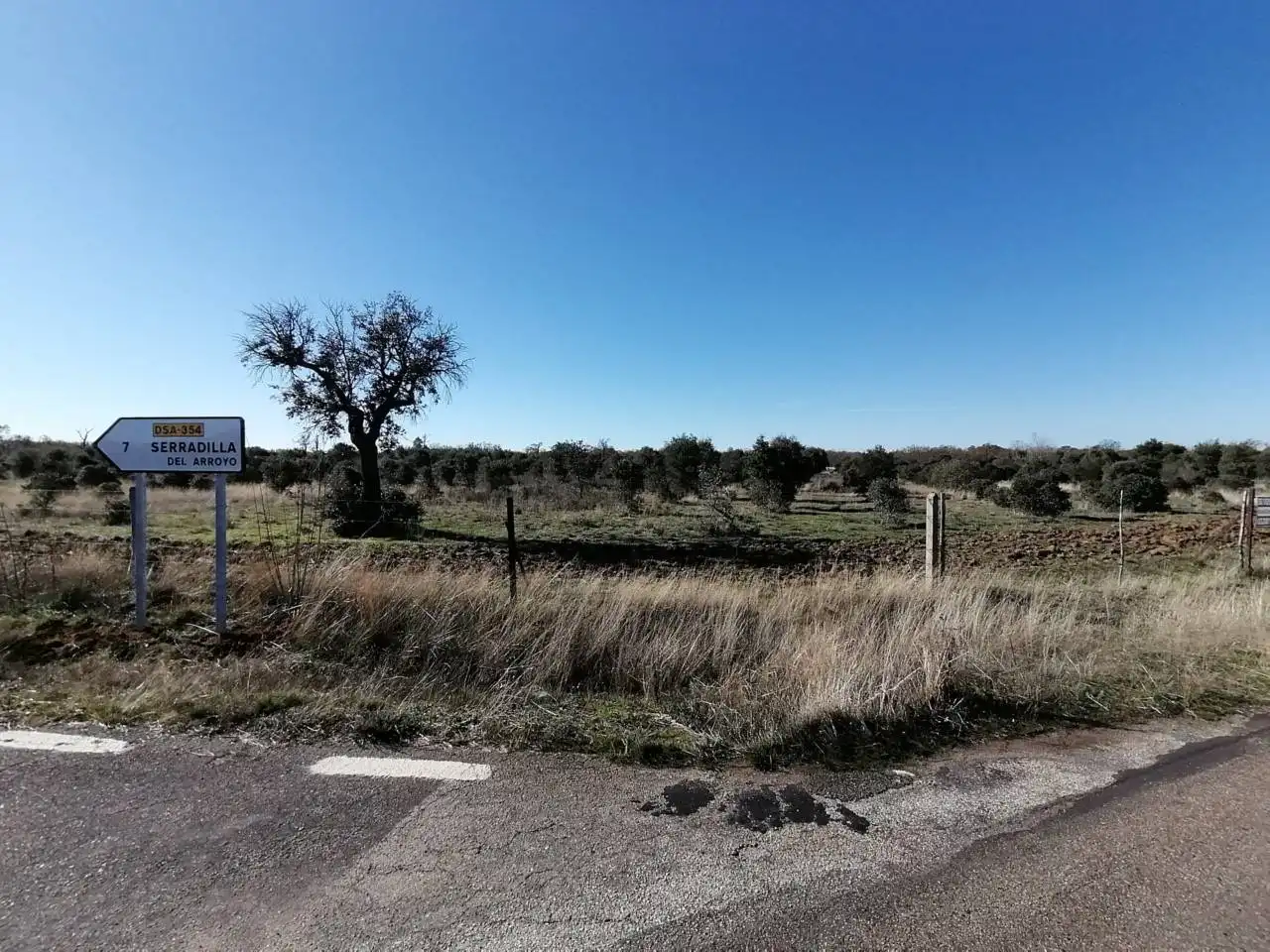 Terreny rústic en venda a Serradilla del Arroyo, imagen 18