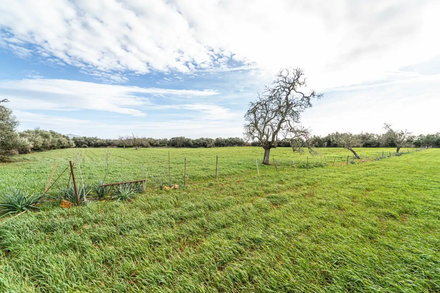Residential land for sale in S'Horta - Cas Concos des Cavaller - Es Carritxó, imagen 26