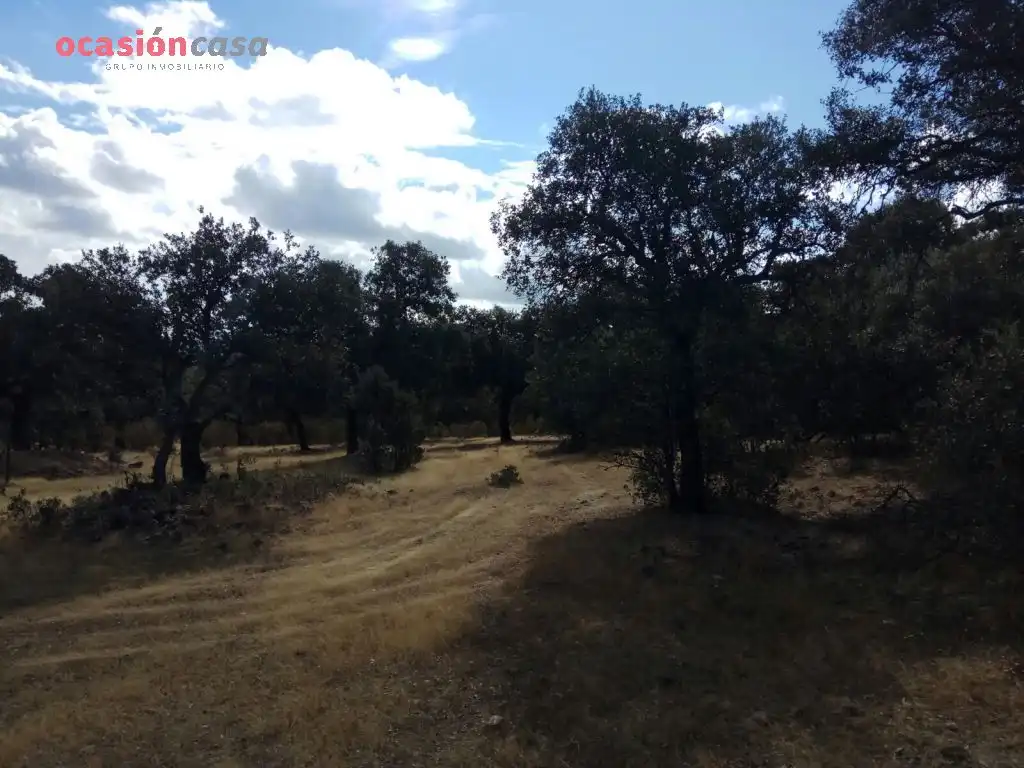 Finca rústica en venta en Villanueva del Duque