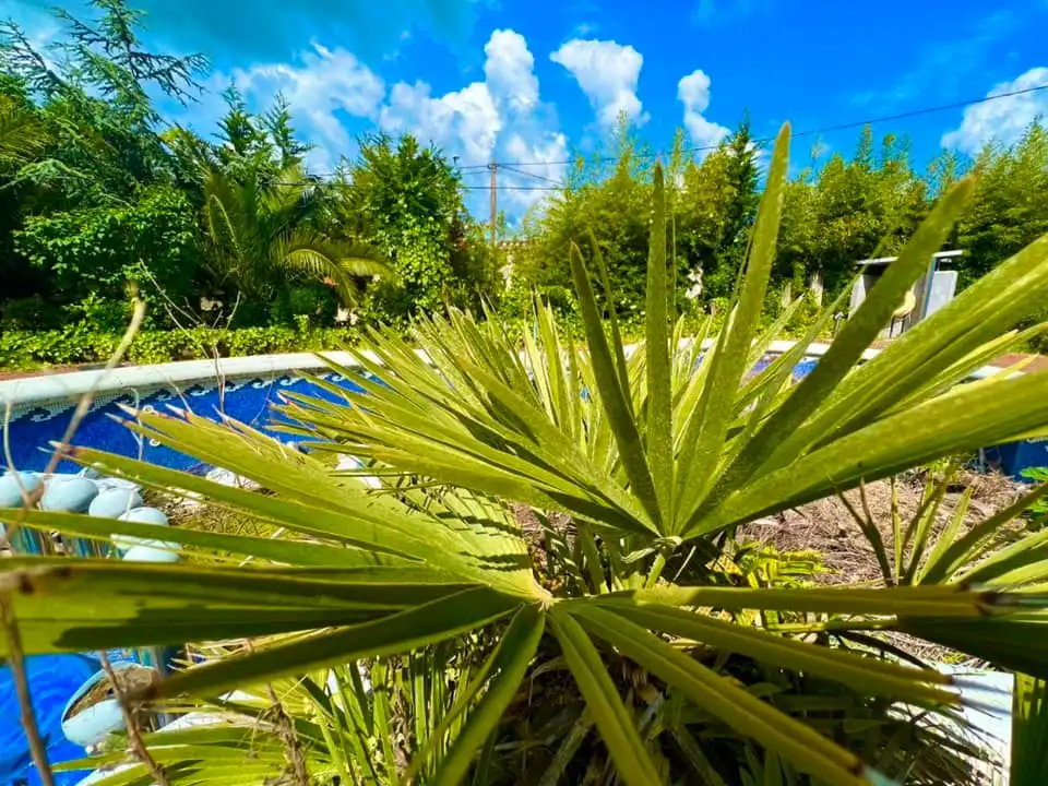 Garten von Gebäude zum Verkauf in Camargo
