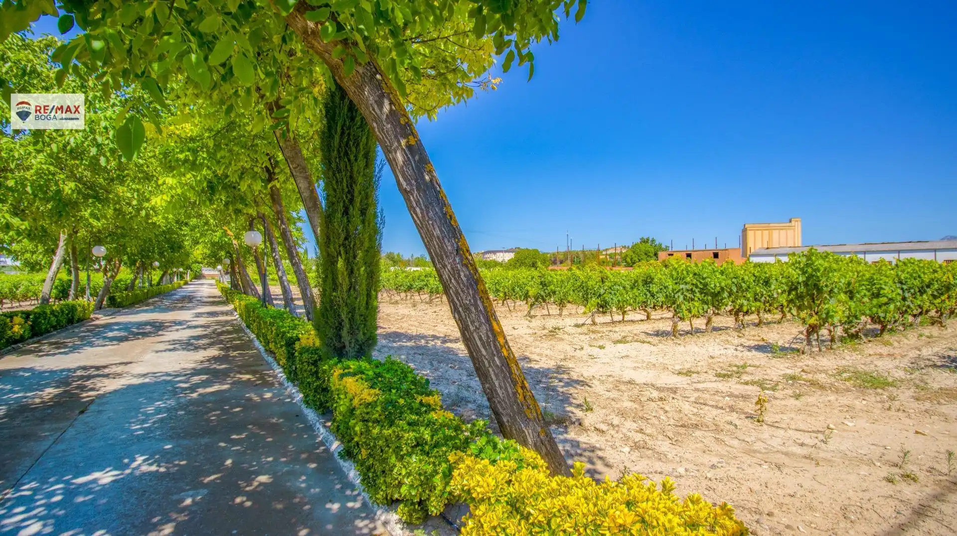 Vista exterior de Casa o xalet en venda en Oyón-Oion amb Aire condicionat, Jardí privat i Parquet