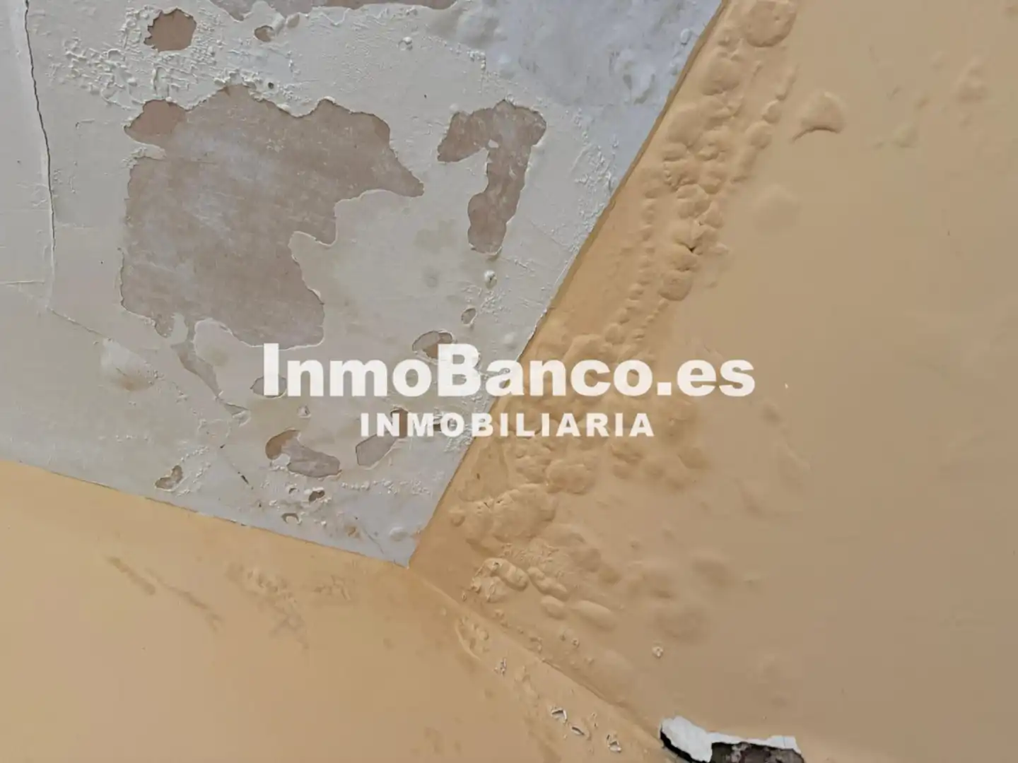 Casa amb jardí en venda a Calle Formentera 16, imagen 21