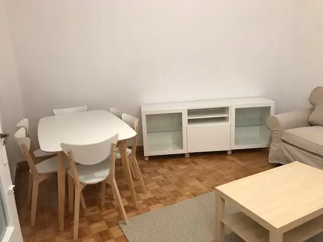 Living room of Flat for rent in Madrid  with Heating, Furnished and Oven