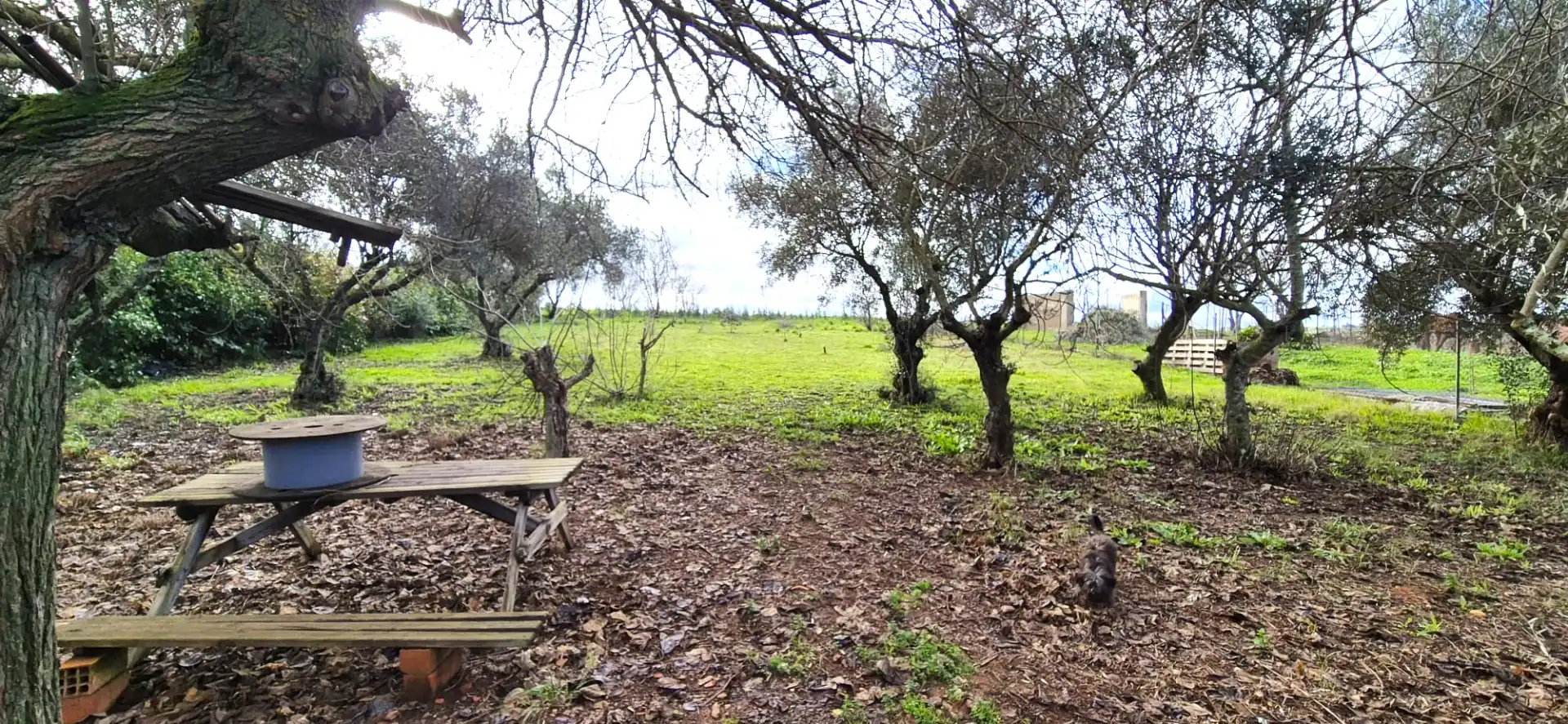 Casa o xalet en venda en Badajoz amb Aire condicionat, Calefacció i Jardí privat