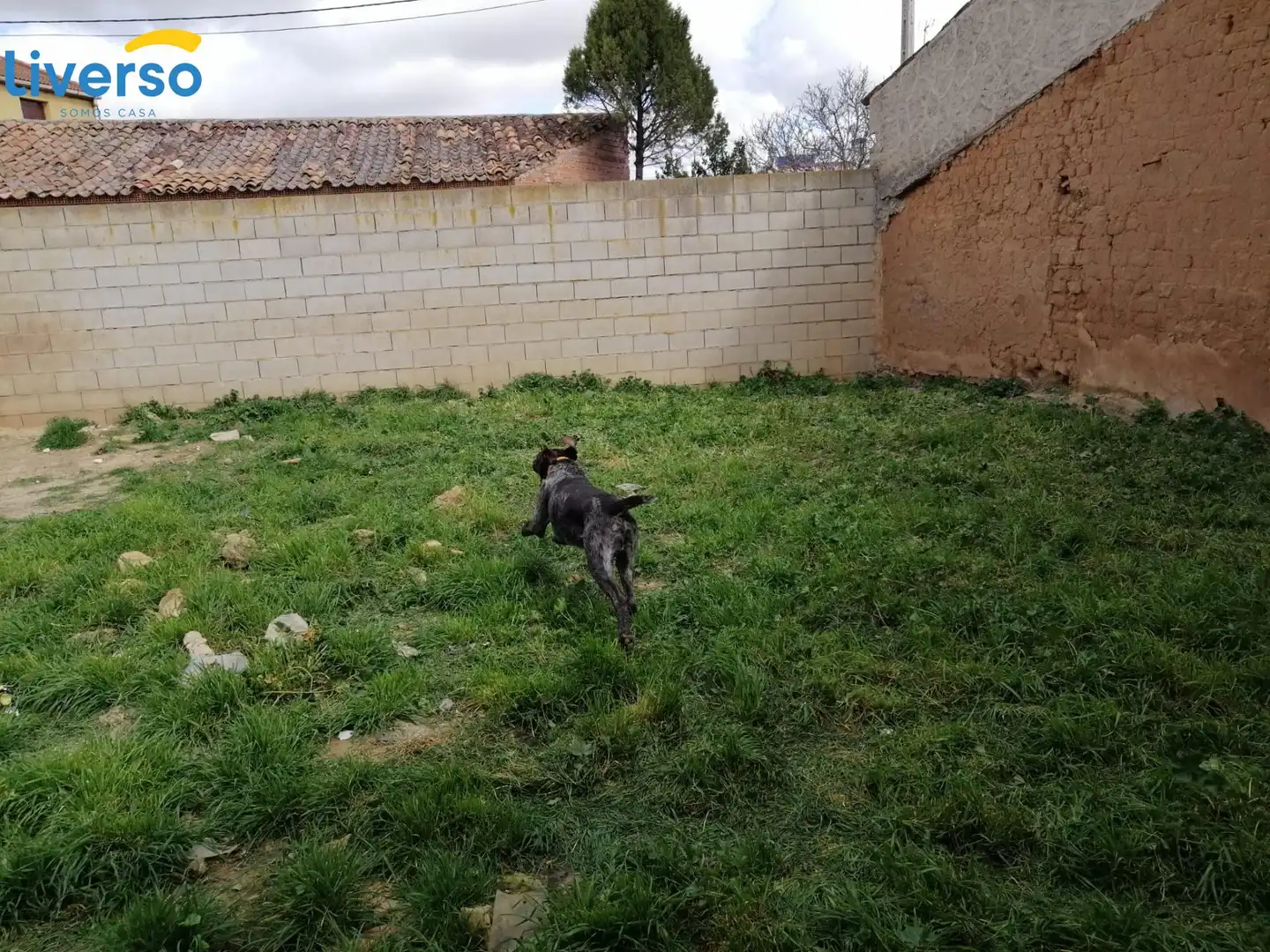 Terreny residencial en venda a Zona Rural, imagen 8