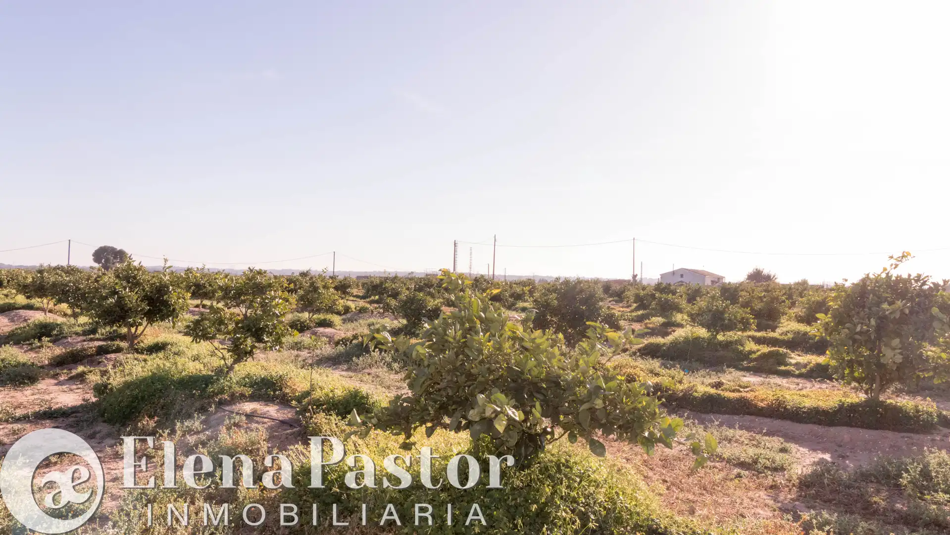 Terreno en venta en Bétera