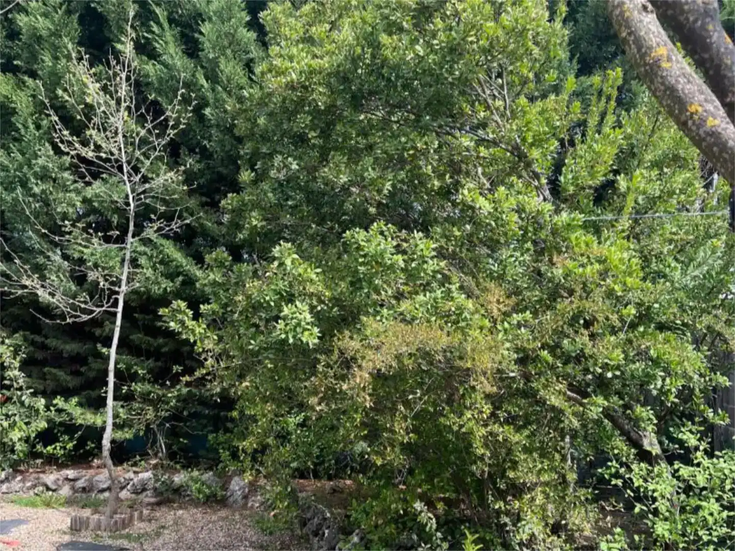 Casa o xalet en venda en Rivas-Vaciamadrid amb Aire condicionat
