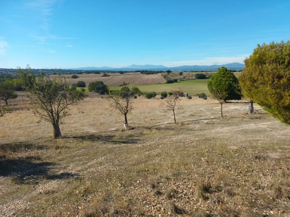 Finca rústica en venta en Brunete
