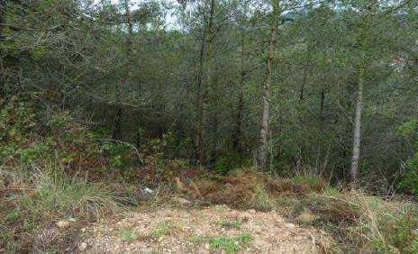 Terreno residencial en Venta en Remei, 12 en El Montmell