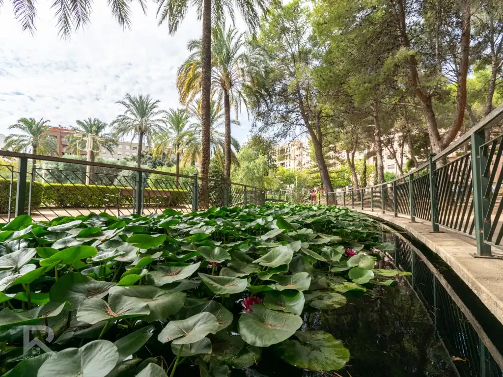 Erdgeschosswohnung zum Verkauf in Calle Sant Lluis Gonzaga, imagen 20